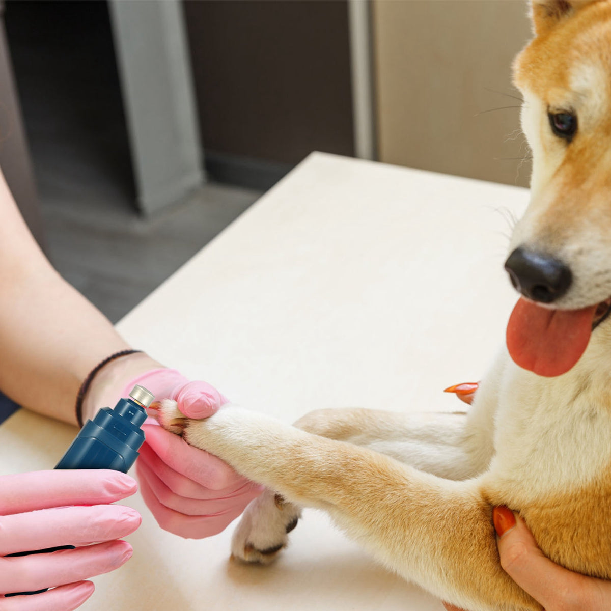 Dog nail grinder USB charging